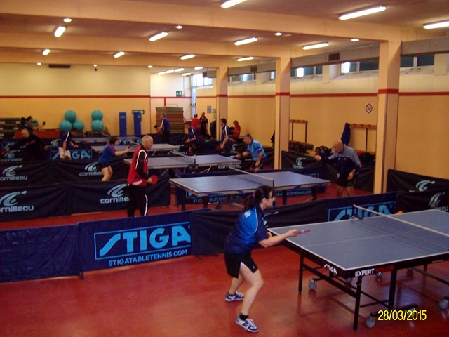La palestra